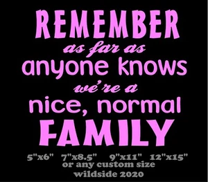 Nice Normal Family Decal funny car truck vinyl sticker graphic - Picture 1 of 7