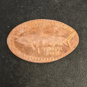 SANDBAR SHARK South Carolina Aquarium - Press Coin Elongated Penny Souvenir - Picture 1 of 1
