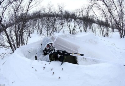 Genuine British Army Arctic Warfare SNOW TERRAIN Personal Camouflage NET 8ftx7ft - Image 1 of 4