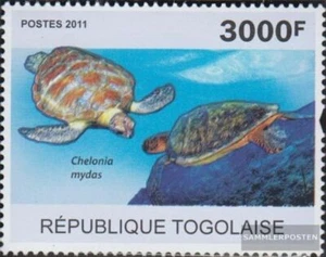 Togo 3893 (completa edizione) MNH 2011 Tartarughe marine - Foto 1 di 1