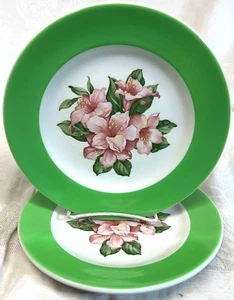 2 Mayer China GREENBRIER HOTEL Rhododendron SALATTELLER, Dorothy Draper 8" RR - Bild 1 von 2