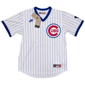 Nike Ryne Sandberg Chicago Cubs Cooperstown HOF Baseball Jersey, Size Medium NWT - Picture 1 of 5