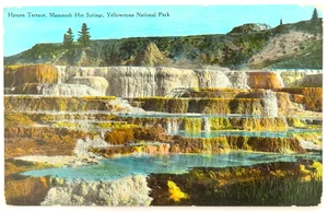 Yellowstone National Park Postcard Vintage Mammoth Hot Springs Hymen Terrace - Picture 1 of 2