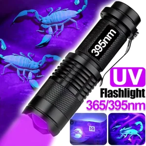 UV Flashlight LED Ultraviolet Torch 395/365Nm Zoomable Pet Stain Detector Tool - Picture 1 of 12