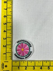 Girls Scouts Headquarters Savannah Georgia Pink Flower Patch GSA - Picture 1 of 1