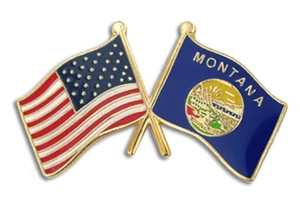 PIN SOLAPA BANDERA CRUZADA MONTANA Y ESTADOS UNIDOS - Imagen 1 de 1