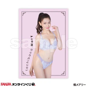 Pegatina Tachibana Mary de lotería en línea Fanza - Imagen 1 de 1