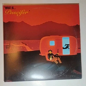 Puscifer "What is... " Vinyl 2x LP Record 1st Press RARE Maynard 2014 VG++ - Imagen 1 de 4