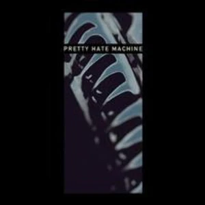 Nine Inch Nails, Pretty Hate Machine, Remastered 2 Vinyl Record Set in Gatefold - Picture 1 of 1