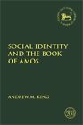 Social Identity And The Book Of Amos Paperback Or Softback