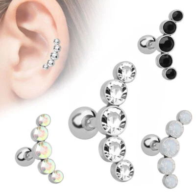 2pc Cartilage Tragus Bar Zircon Stud Earring Piercing Helix Gem Surgical Steel Foto 1 de 4