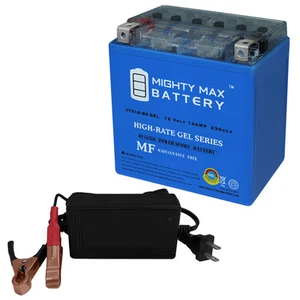 Mighty Max YTX16-BSGEL Battery Replaces FTH16-BS-1, FTZ16-BS-1 + 12V 4Amp Chargr - Picture 1 of 6