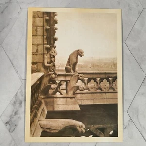 Wasserspeier auf der Kathedrale Notre Dame Retro Postkarte Paris Frankreich - Bild 1 von 4