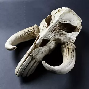 Star Wars The Mandalorian Mythosaur Skull 17" Replik Wandskulptur - Bild 1 von 4