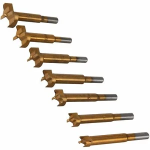 Forstner Foro Alesatura Cutter Legno Drill Bit Set 7 PEZZI 12 - 35 mm - Foto 1 di 1