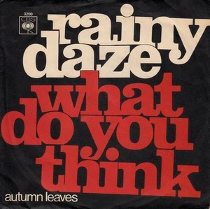 The Rainy Daze - What Do You Think (7") (Very Good (VG)) - 3473080131 - Bild 1 von 1