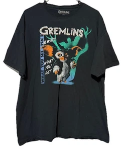 Camiseta Gremlins Stripe 2XL Negra Lo que ves no siempre es lo que obtienes - Imagen 1 de 10