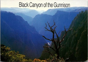 BLACK CANYON of the GUNNISON Colorado 4x6 Postcard - Imagen 1 de 2