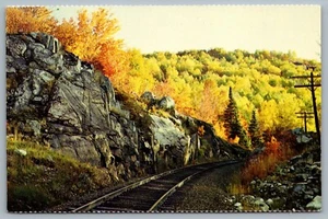 Postcard Sault Ste. Marie ONT Algoma Central Railway Rockcut Laurentian Shield - Picture 1 of 2