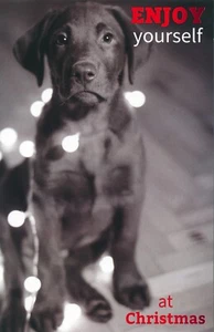 Cute CHRISTMAS Card, Black Labrador Retriever Puppy Dog by Premium Greetings +✉ - Picture 1 of 5