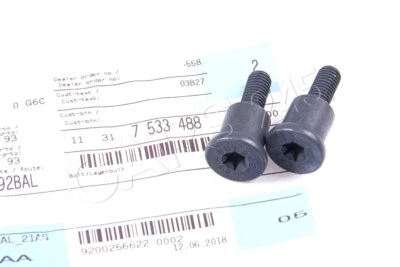 2x pernos de riel guía de cadena de distribución originales BMW 545i 550i 645i 650i 745i X5 X6 N62 Foto 1 de 4