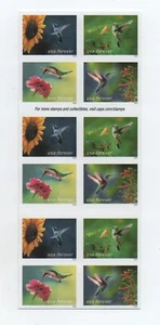 Scotts 5845-48 (USA), 2024 Garden Delights DS Booklet of 20, Plate P1111, Mint - Bild 1 von 2
