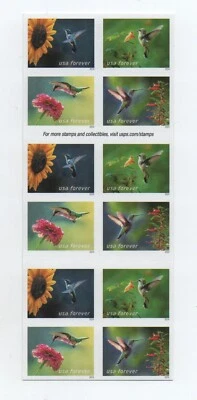 Scotts 5845-48 (US), 2024 Garden Delights DS Booklet of 20, Plate P1111, Mint - Image 1 of 2