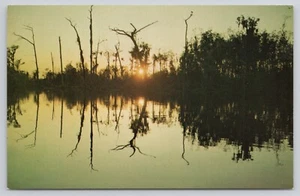 Okefenokee Sumpfpark Wegkreuz GA Georgia Wasser Reflexionen Postkarte - Bild 1 von 2