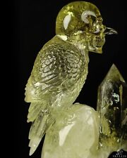 GEMSTONE 9.7" Citrine Carved Crystal Skull & Bird, Crystal Healing