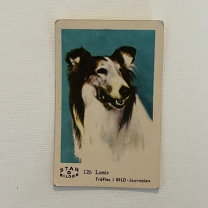 1963 Dutch Gum Star Bilder D Lassie #126 - Picture 1 of 2