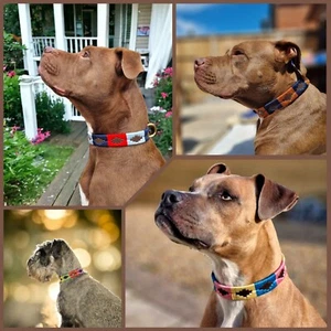 100% Leather Polo Embroidered Style dog Pet Animal Collar Leads Beagle Hand Made - Picture 1 of 36