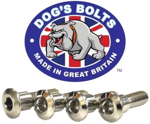 Triumph 675 Daytona  06-16 Stainless Steel Rear Brake Disc Bolt Kit - Picture 1 of 1