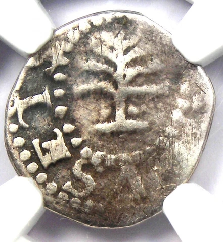 1652 Massachusetts Pine Tree Silver Threepence 3P - Certified NGC VG Details Cover