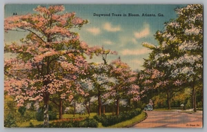 Dogwood Trees in Bloom Atlanta Gorgia Postcard - Picture 1 of 2
