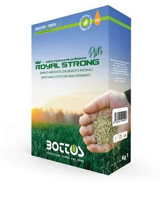 Semi per Prato Royal Strong Plus 1 Kg Sementi Conciate 100% Festuca Arundinacea - Foto 1 di 2