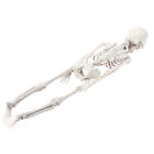40cm Halloween Tricky Props Horror Skeleton Skeleton Scene Decoration Props-y ny