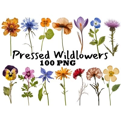 Pressed Flowers Images Clipart Digital Download for Printing DIY Decoration - Image 1 of 4