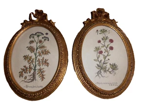 2 Uttermost Botanical picture Framed Art prints #3099  bow swag gold frames READ - Picture 1 of 5