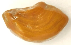 Cornalina Ágata 40 g Asesino Pelador Bandas Espécimen Rebanada Naranja  - Imagen 1 de 10