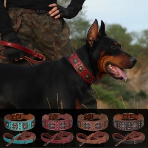 Echtes Leder Hundehalsband & Leine Set Weich Gepolstert Verstellbar Und Robust - Bild 1 von 19
