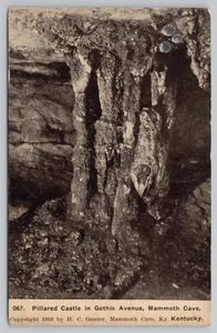Pillard Castle in Gothic Avenue Mammut Cave Kentucky cartolina c1910 - Foto 1 di 2