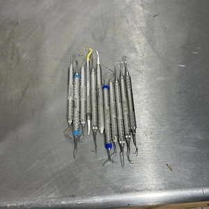11-teiliges Dentalwerkzeug-Set Henry Schein Hurgfriedy Schaber Plektren Spiegel siehe Bild - Bild 1 von 3