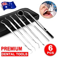 Stainless Steel 6-Piece Dental Care Tool Kit