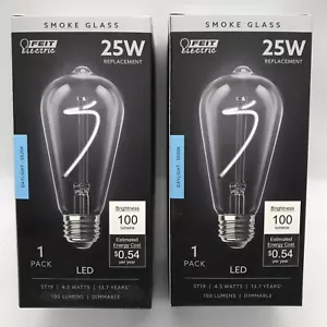 2 Pack FEIT 25-Watt ST19 Dimmable LED Smoke Glass Curve Filament Daylight 5000K - Picture 1 of 4