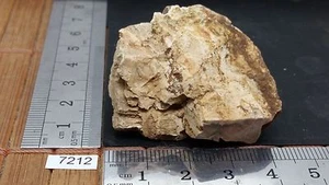 BOIS FOSSILE pierre brute mineraux collection pétrifié reiki esoterisme brut - Picture 1 of 2