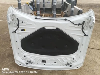 Hood Fits 12-18 BMW 320i 8112402 Foto 1 de 4