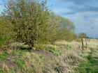 Photo 12x8 Old railway track bed north of Postland Part of the Great Easte c2012