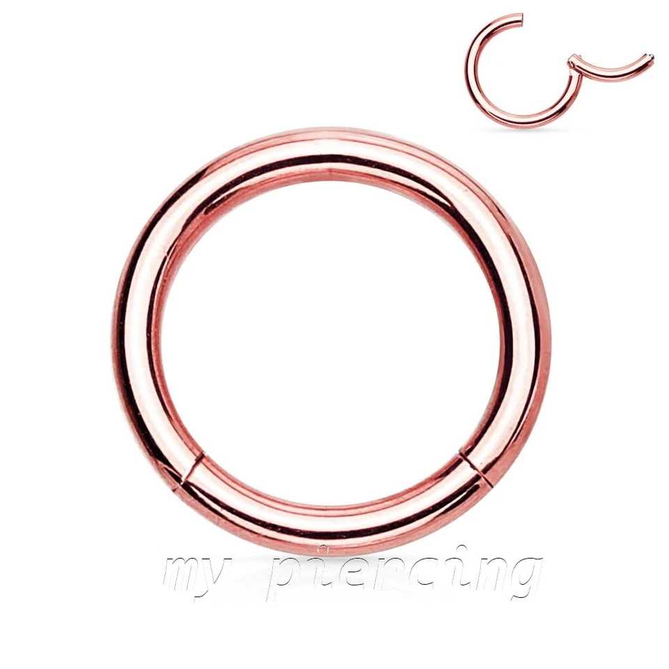 Pendiente aro anillo segmento sin costuras con bisagras cartílago tragus labret tabique Foto 1 de 4