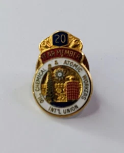 Oil Chemical & Atomic Workers International Union 20 Jahre Mitglied Anstecknadel - Bild 1 von 2