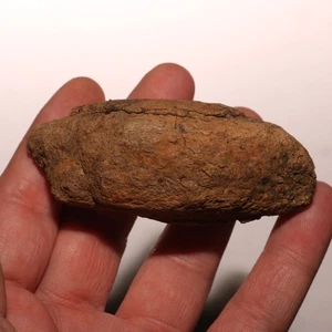 Edmontosaurus Toe Foot Bone - Dinosaur Fossil - Hell Creek Formation Cretaceous - Picture 1 of 9